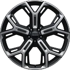 W1